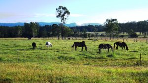 470607_315598985195348_1001070626_o