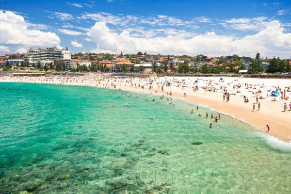 Coogee Beach