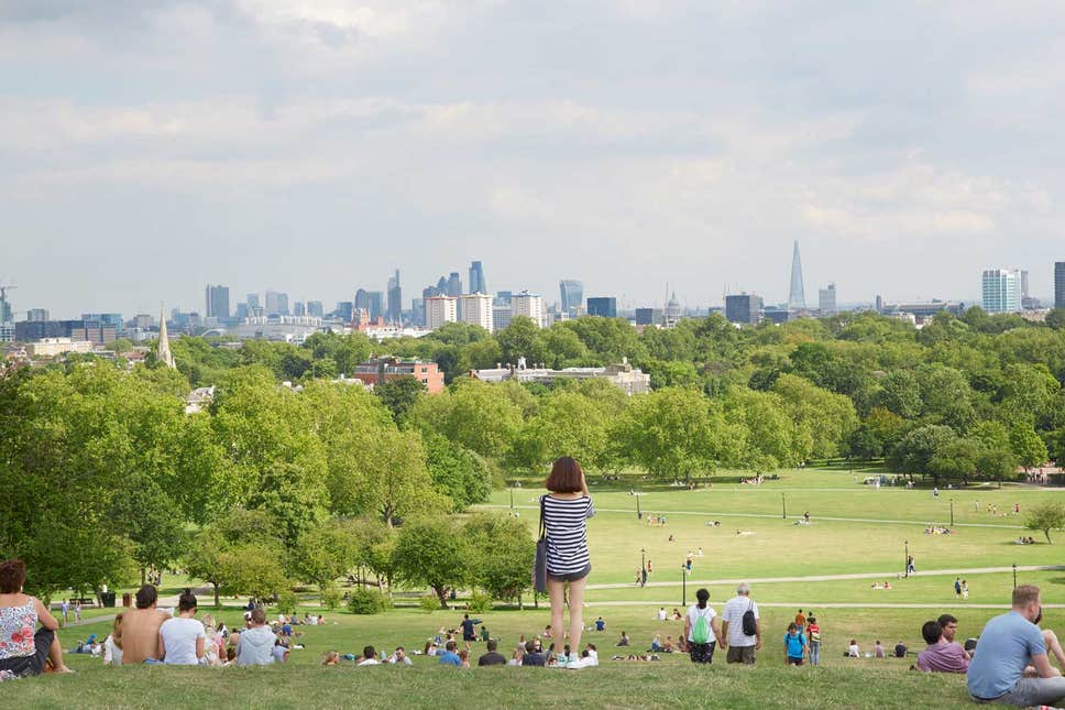 primrosehill